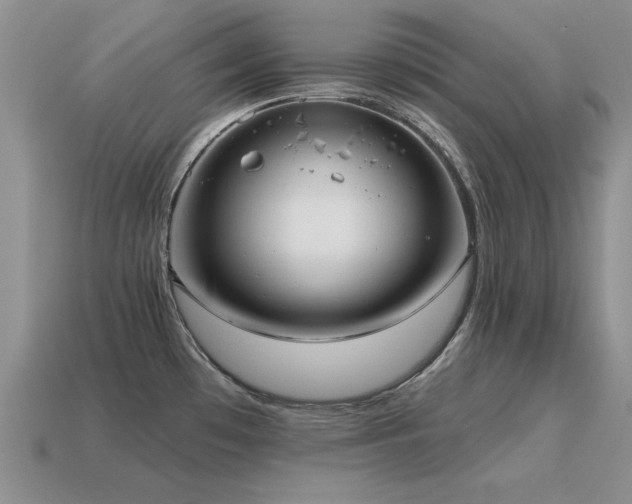 X0000115611481200911101417
