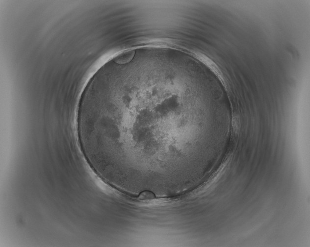 X0000115611482200911101417