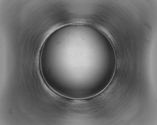 X0000115611483200911101416
