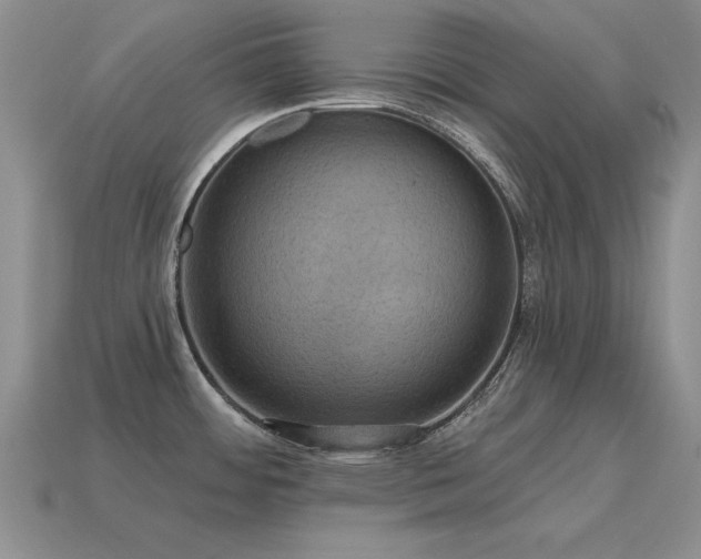 X0000115611484200911101416