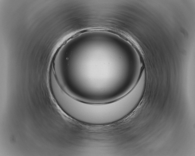 X0000115611485200911101416