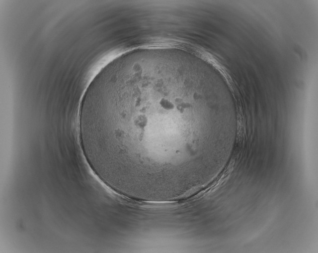 X0000115611487200911101416