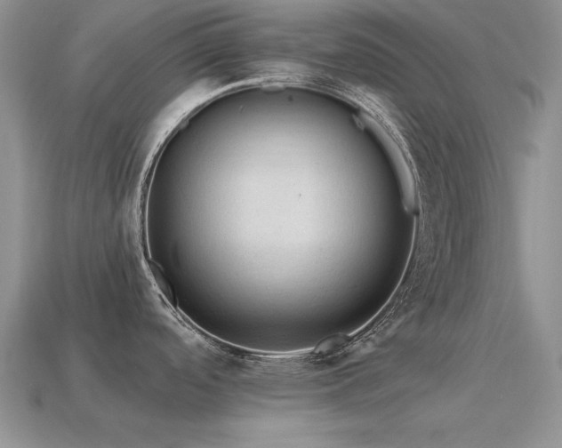 X0000115611488200911101416