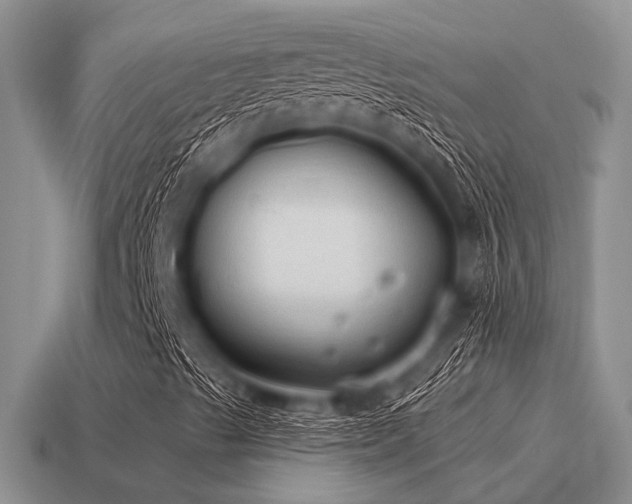 X0000115611489200911101416