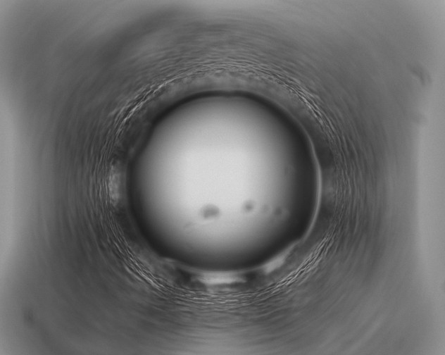 X0000115611490200911101416