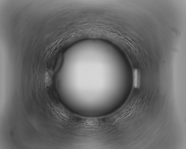 X0000115611491200911101416