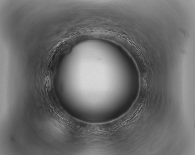 X0000115611493200911101416