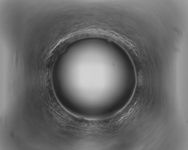 X0000115611494200911101416