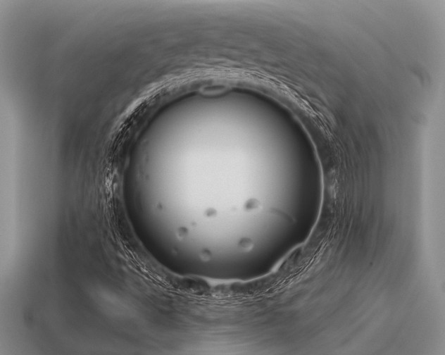 X0000115611495200911101416