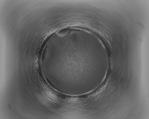 X0000115611497200911101416