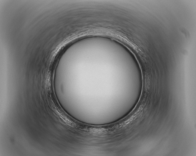 X0000115611498200911101416