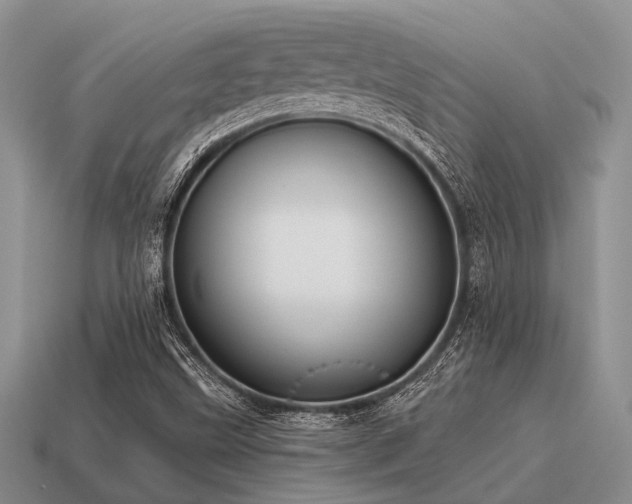 X0000115611499200911101416