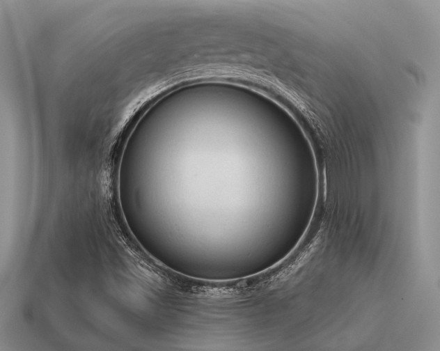 X0000115611501200911101416