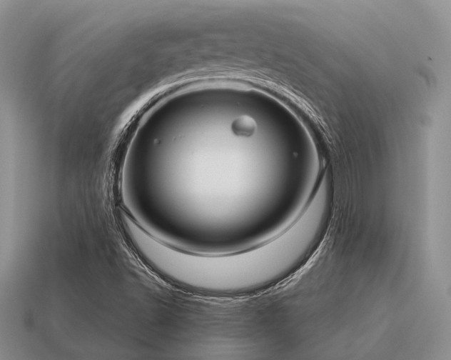 X0000115611502200911101416