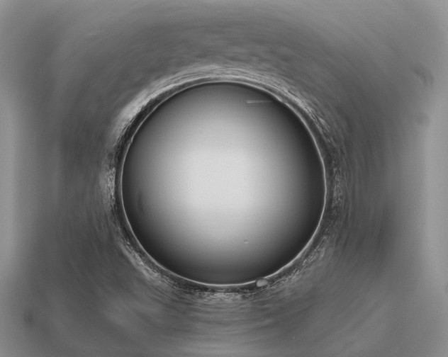 X0000115611503200911101416