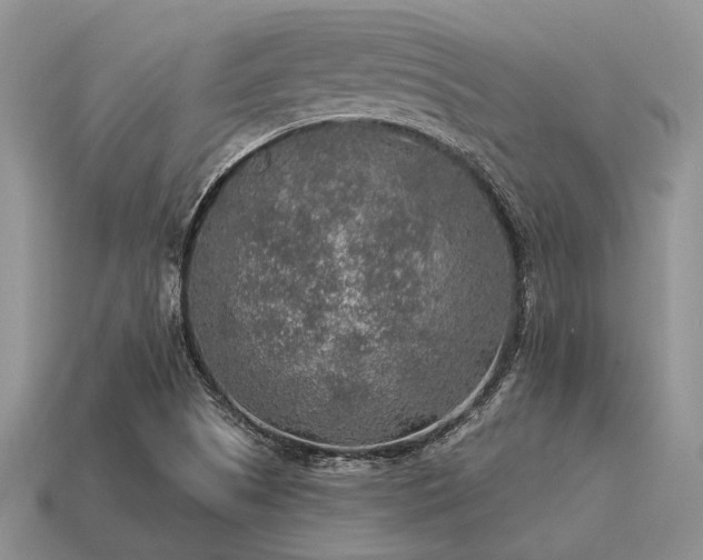 X0000115611505200911101416