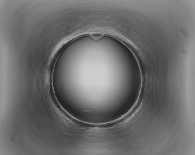 X0000115611506200911101416