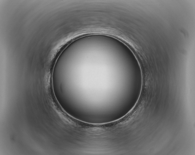 X0000115611507200911101416