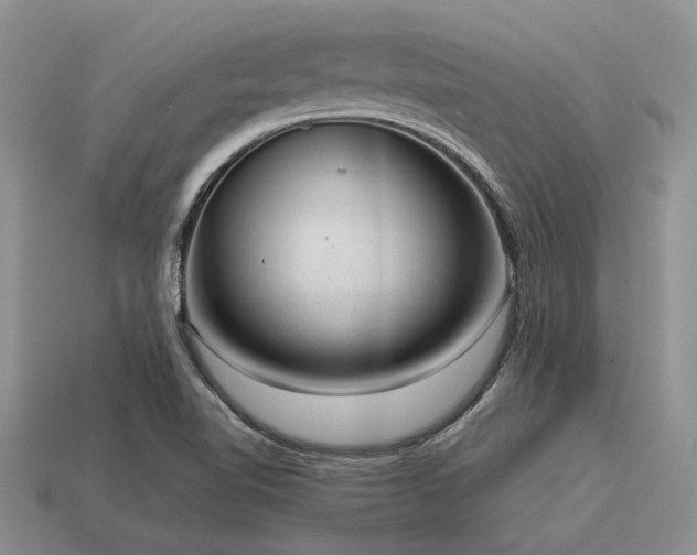 X0000115611510200911101416