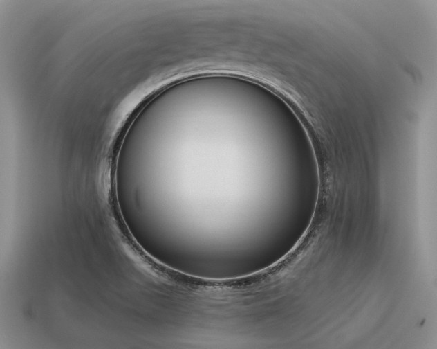 X0000115611511200911101416