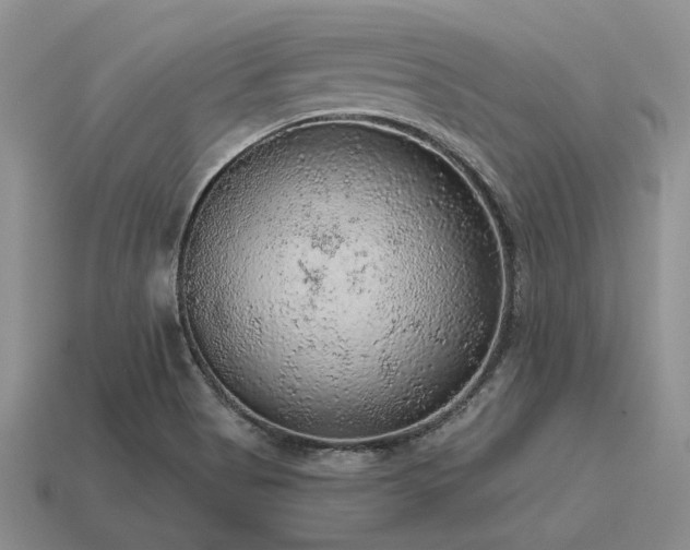 X0000115611513200911101416