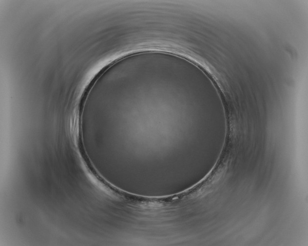 X0000115611515200911101416