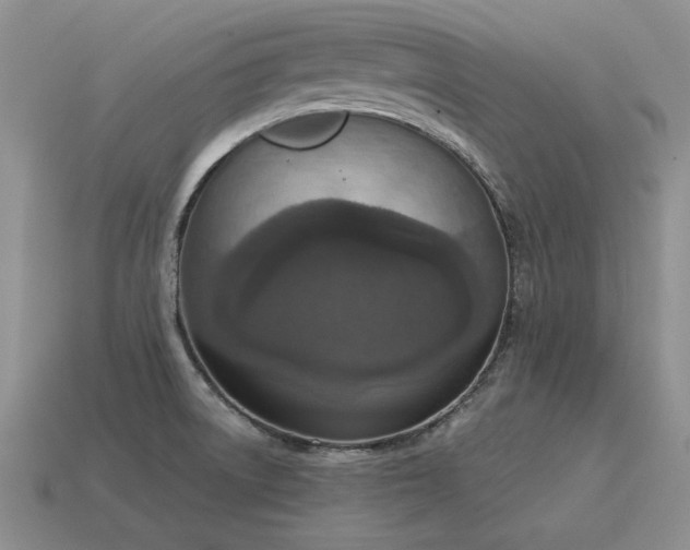 X0000115611522200911101416