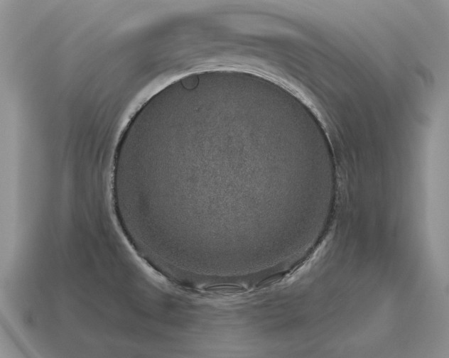 X0000115611525200911101416