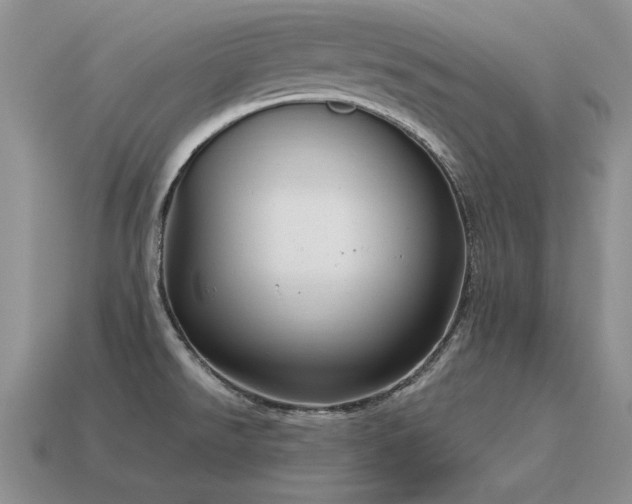 X0000115611526200911101416