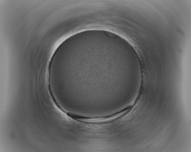 X0000115611527200911101416