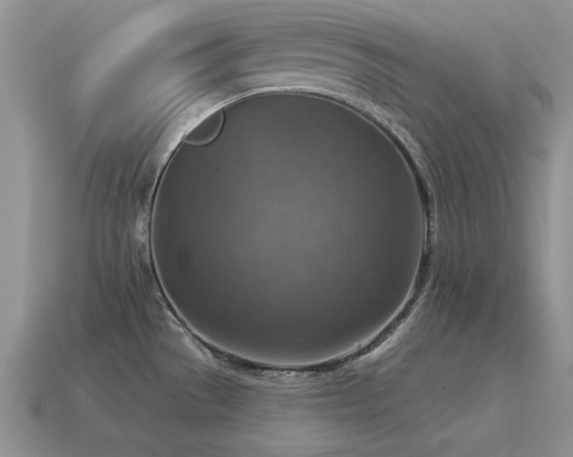 X0000115611529200911101416