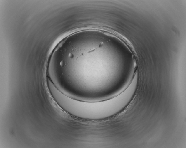 X0000115611530200911101416