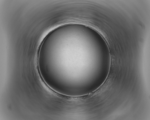 X0000115611531200911101416
