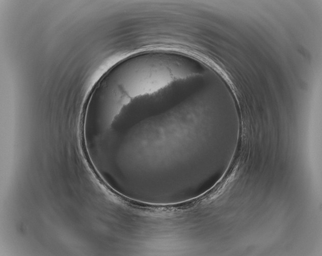 X0000115611533200911101416