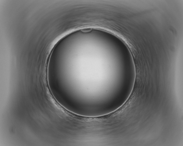 X0000115611534200911101416