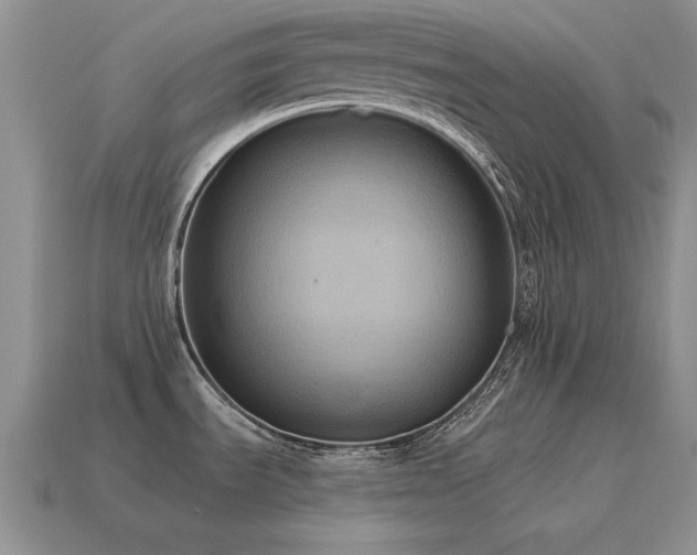 X0000115611535200911101416