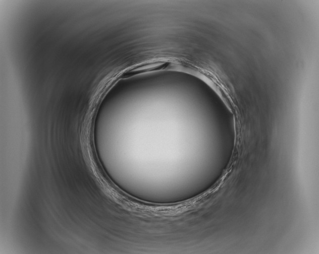 X0000115610001200911171157
