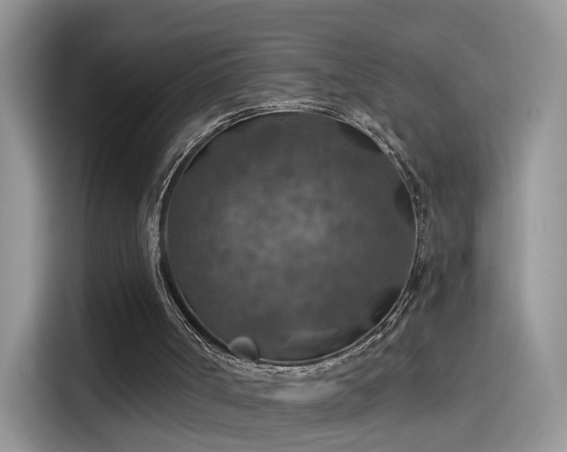 X0000115610002200911171157