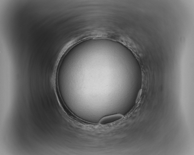 X0000115610003200911171157