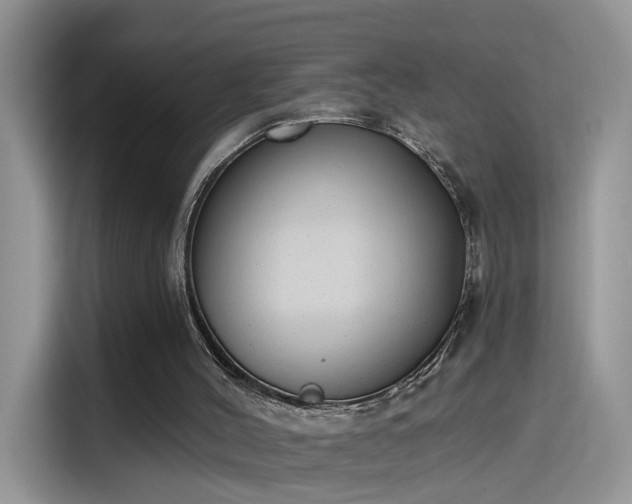 X0000115610004200911171157