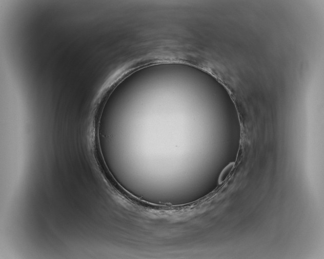 X0000115610005200911171157