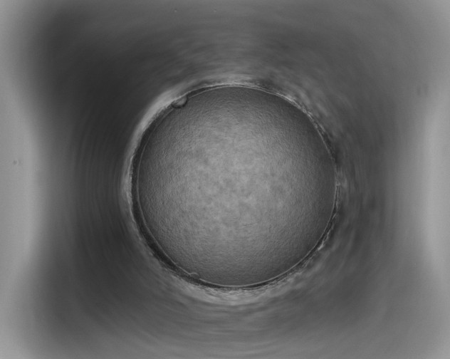 X0000115610006200911171157