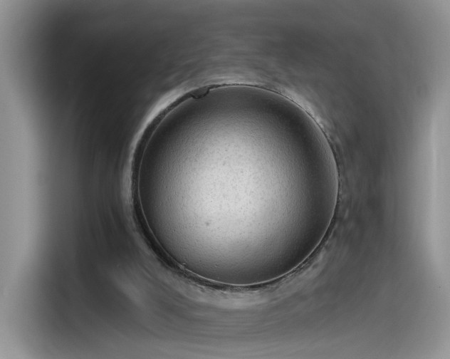 X0000115610008200911171157