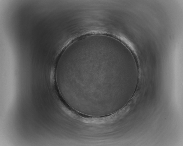 X0000115610009200911171157