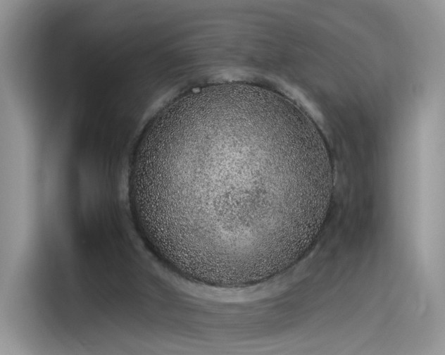 X0000115610010200911171157