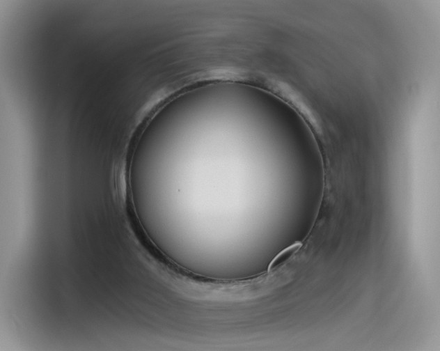 X0000115610011200911171157