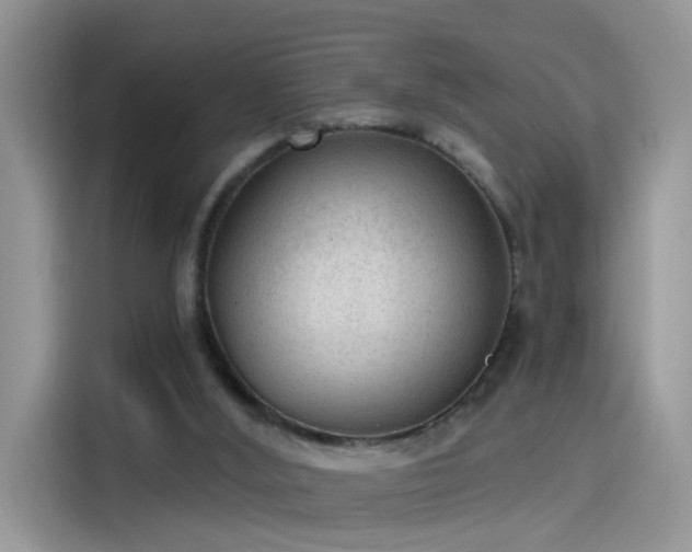 X0000115610012200911171157