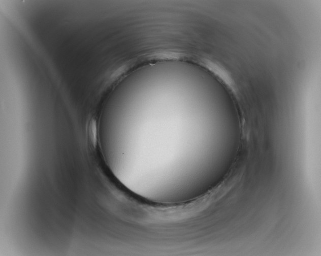 X0000115610013200911171157