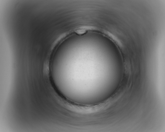 X0000115610015200911171157
