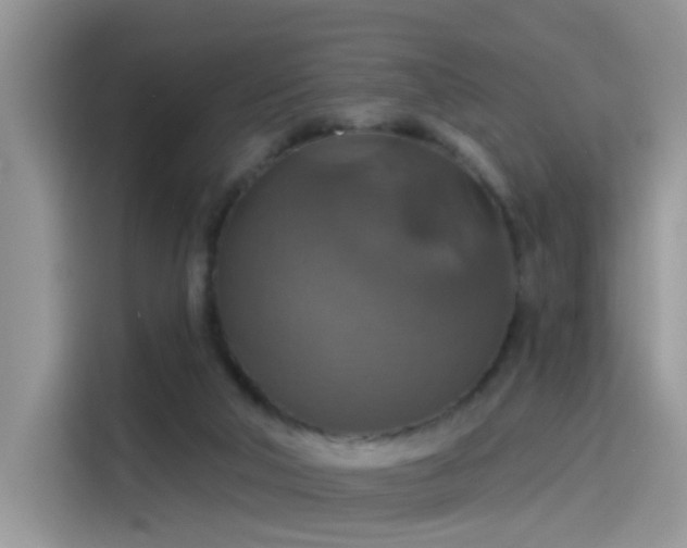 X0000115610018200911171157